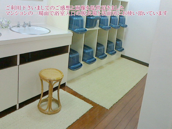 マンションで脱衣場などでお使い頂いているリアルな画像です