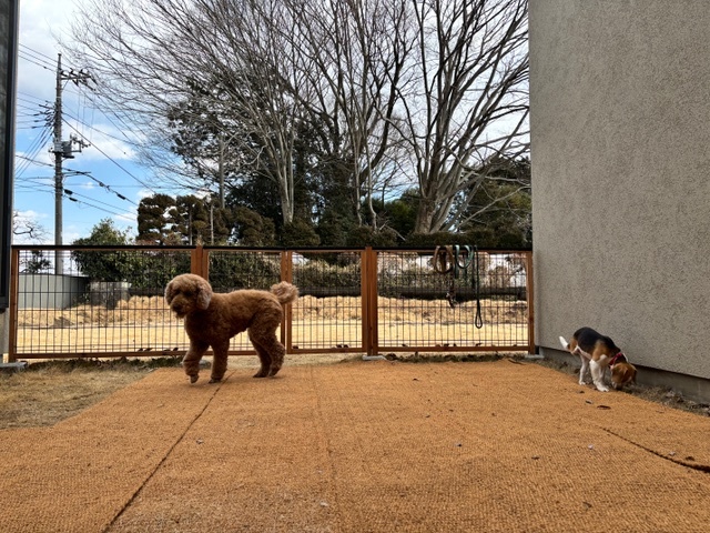 バイコムロールマットをドッグランにお使い頂きました