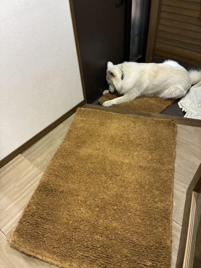 長野県在住のお客様からのレビューとご感想のお声