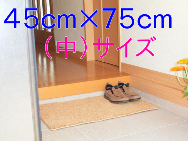 カルナマット、中サイズ戸建住宅にオフィスの出入りに